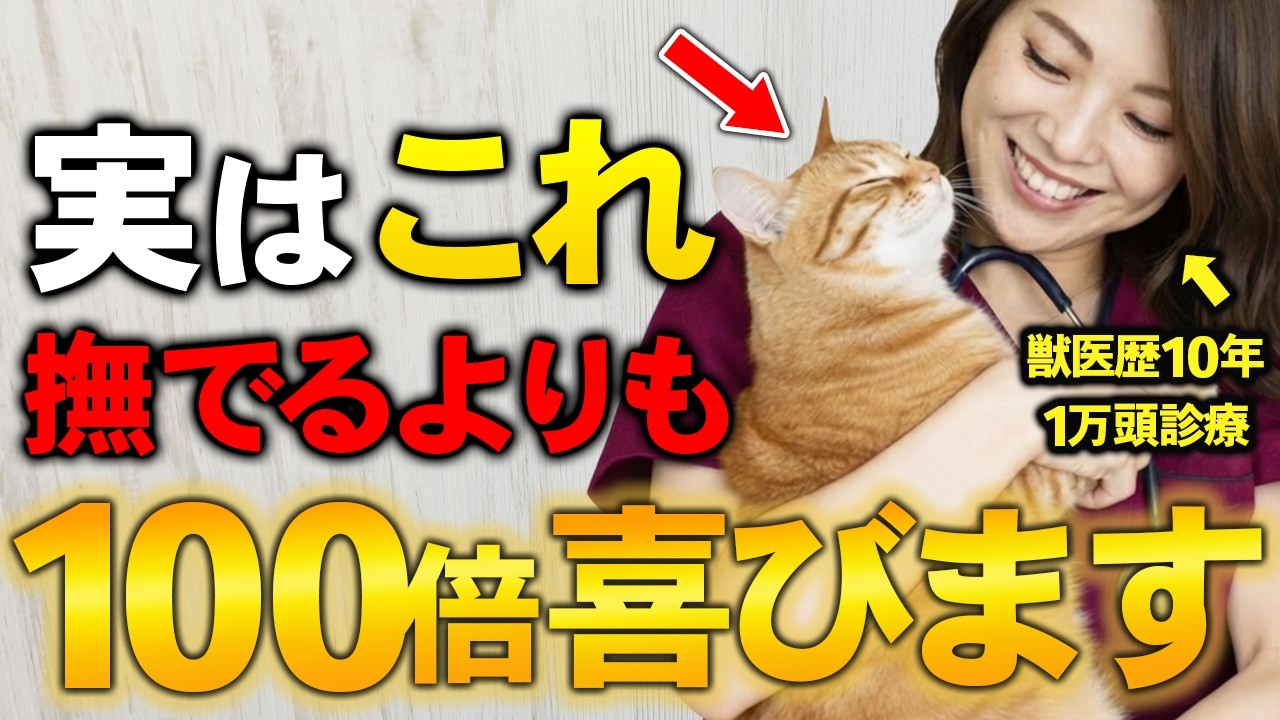 獣医さや先生の猫学ゼミ